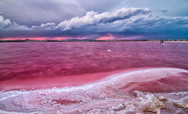 The Miracle of the Absheron Peninsula: Why is the colour of Masazir lake pink?