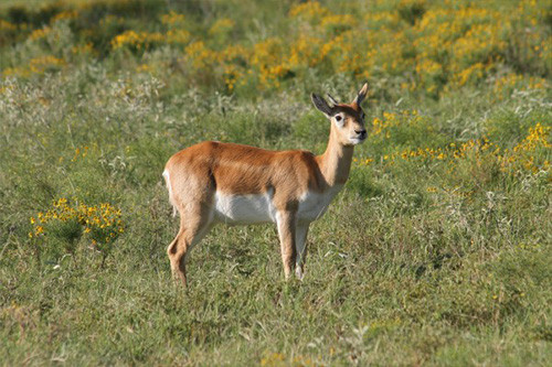 Absheron National Park Shahdili Hiking Tour