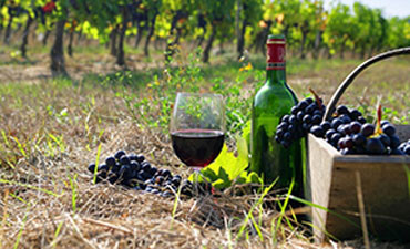 Winemaking in Azerbaijan
