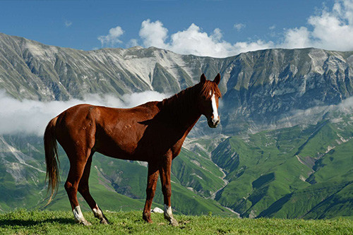 Khinalig-Anzir Waterfall Horseback-Riding Tour