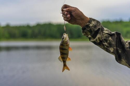 Fishing Tour In Azerbaijan