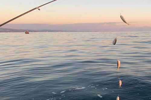 Fishing Tour In Azerbaijan