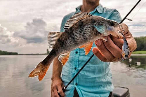 Fishing Tour In Azerbaijan