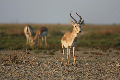 Tours in Azerbaijan