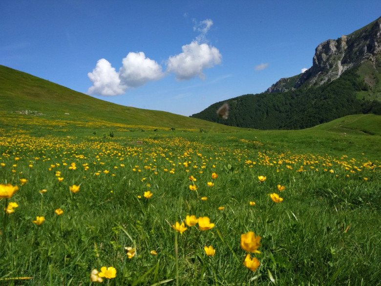 Tours in Azerbaijan