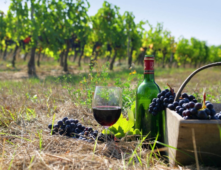 Winemaking in Azerbaijan