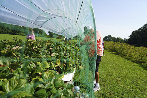 agritourism in Azerbaijan